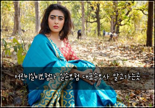 어린이실비보험과 실손보험 대표손보사 알고가는곳
