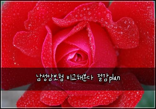 ๋จ์ฑ์๋ณดํ ๋น๊ตํด๋ณธ๋ค ์ ๊ฐplan