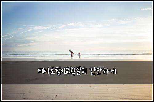 태아보험비교확실히 간단하게