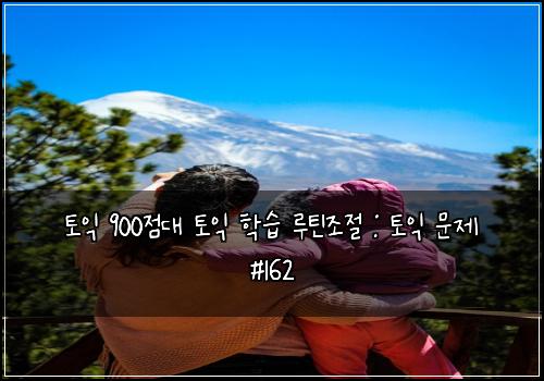 토익 900점대 토익 학습 루틴조절 : 토익 문제 #162