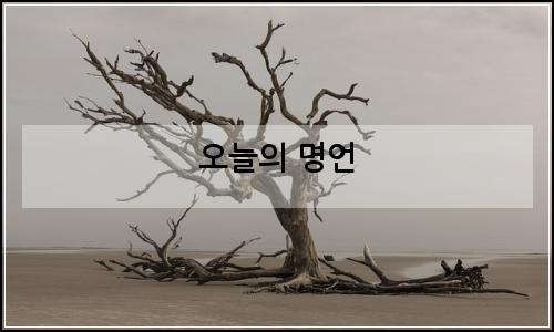 오늘의 이미지