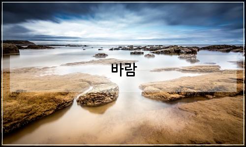 오늘의 이미지