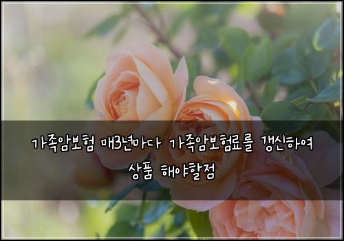 가족암보험 매3년마다 가족암보험료를 갱신하여 상품 해야할점