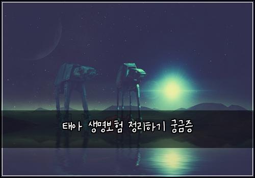 태아 생명보험 정리하기  궁금증