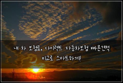  내 차 보험료, 다이렉트 자동차보험 빠른견적 비교로 스마트하게!