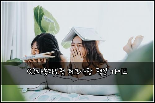Q3자동차보험 체크사항 핵심 가이드