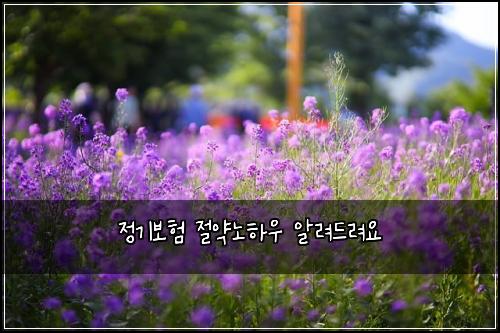 정기보험 절약노하우  알려드려요