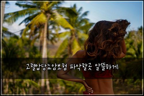 고혈압당뇨암보험 파악할곳  알뜰하게