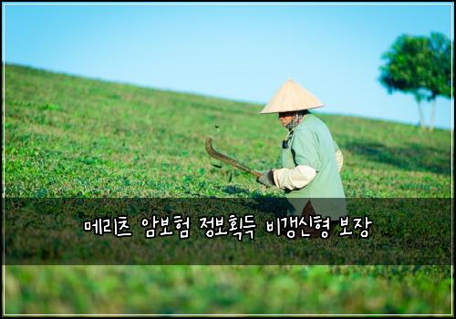 ๋ฉ๋ฆฌ์ธ ์๋ณดํ ์ ๋ณดํ๋ ๋น๊ฐฑ์ ํ ๋ณด์ฅ
