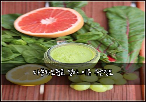 자동차보험료 얼마 이유 우선정보
