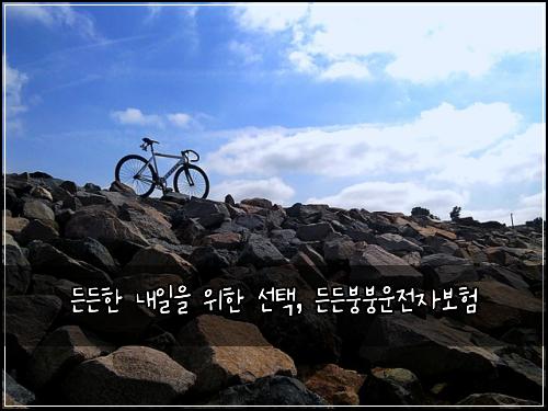  든든한 내일을 위한 선택, 든든붕붕운전자보험
