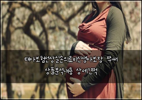 태아보험선상실손의료비신생아보장 쭈써 상품분석내용 상세견적