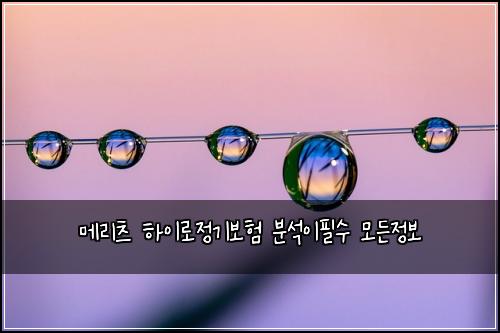 메리츠 하이로정기보험 분석이필수  모든정보