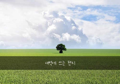 새벽에 쓰는 편지