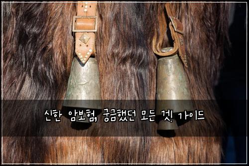 신한 암보험, 궁금했던 모든 것! 가이드