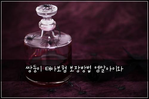 쌍둥이 태아보험 보장방법  엠알아이와