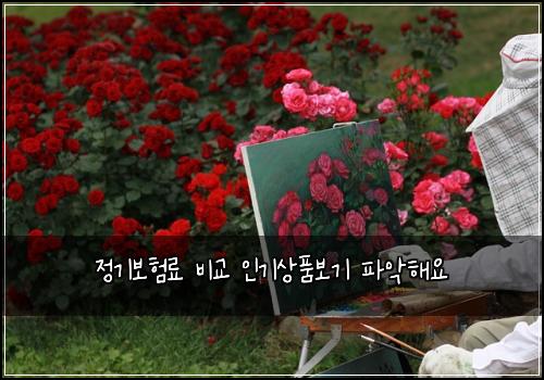 ์ ๊ธฐ๋ณดํ๋ฃ ๋น๊ต ์ธ๊ธฐ์ํ๋ณด๊ธฐ ํ์
ํด์