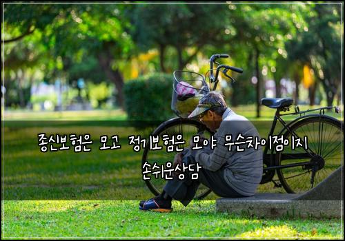 종신보험은 모고 정기보험은 모야 무슨차이점이지 손쉬운상담