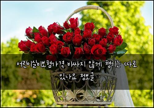 어린이실비보험가격 비싸지 않게 챙기는 따로 있나요 정보글