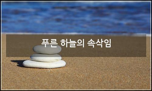 오늘의 이미지