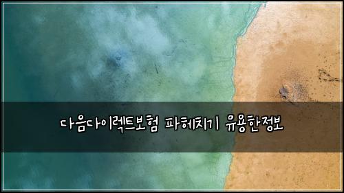 다음다이렉트보험 파헤치기  유용한정보