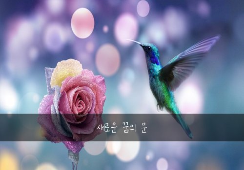 새로운 꿈의 문