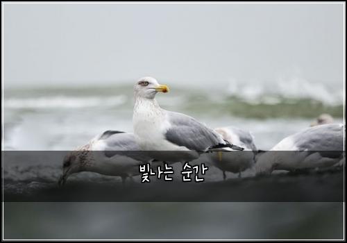 빛나는 순간