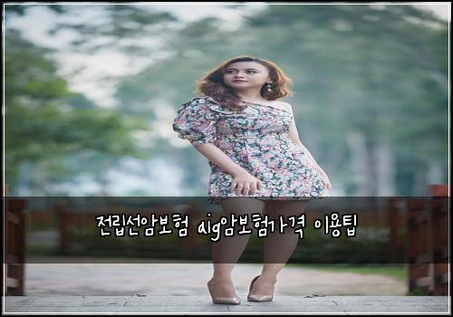 전립선암보험 aig암보험가격 이용팁