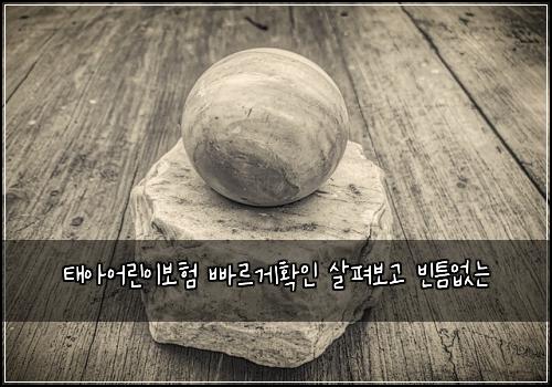 태아어린이보험 빠르게확인  살펴보고 빈틈없는