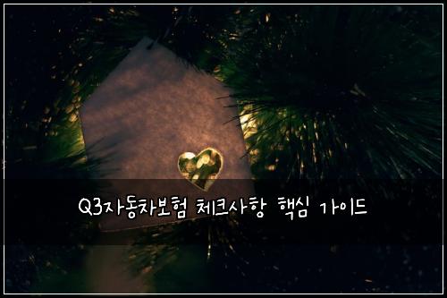 Q3자동차보험 체크사항 핵심 가이드