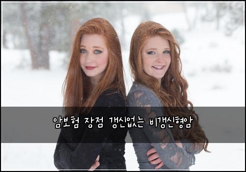 ์๋ณดํ ์ฅ์ ๊ฐฑ์ ์๋ ๋น๊ฐฑ์ ํ์