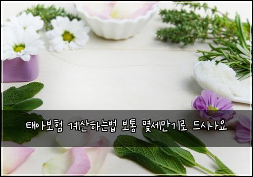태아보험 계산하는법  보통 몇세만기로 드시나요