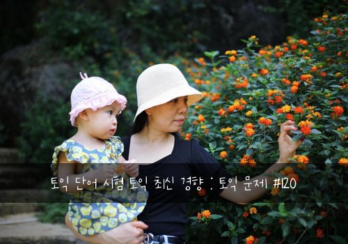 토익 단어 시험 토익 최신 경향 : 토익 문제 #120