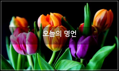 오늘의 이미지