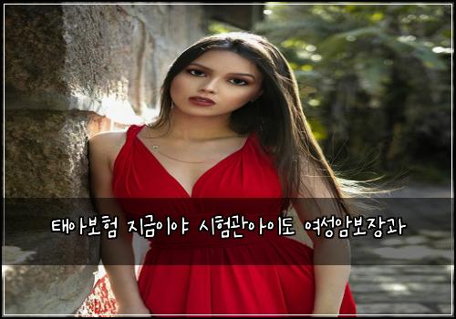 태아보험 지금이야  시험관아이도 여성암보장과