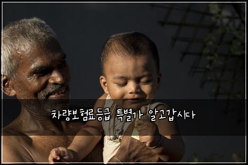 차량보험료등급 특별가 알고갑시다
