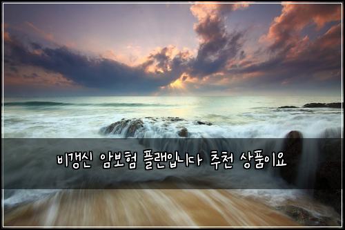 비갱신 암보험 플랜입니다  추천 상품이요