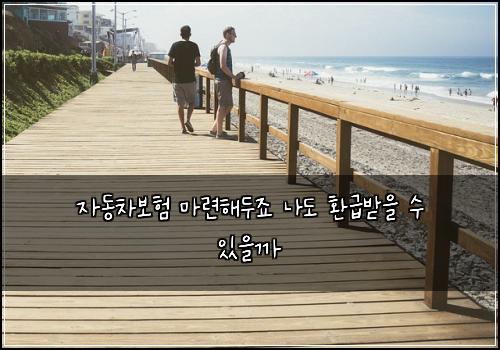 자동차보험 마련해두죠  나도 환급받을 수 있을까