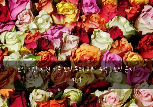 토익 기업 지원 기준 토익 독해 패턴 분석 : 토익 문제 #154