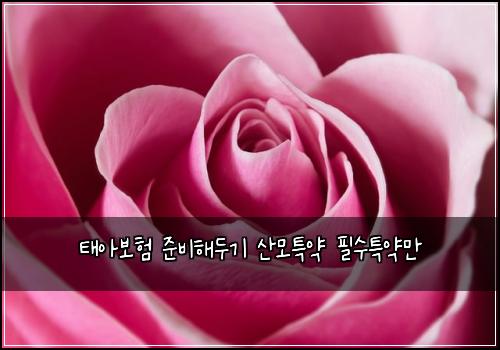 태아보험 준비해두기  산모특약 필수특약만