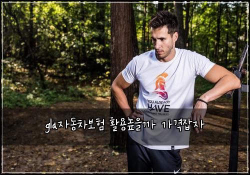 gla자동차보험 활용높을까  가격잡자