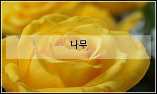 오늘의 이미지