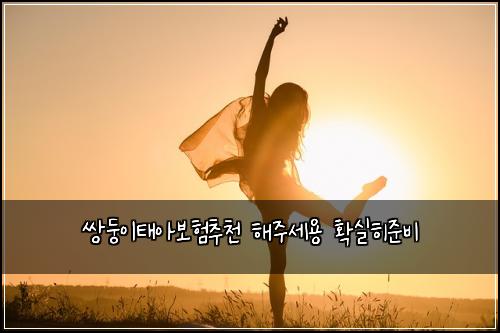 쌍둥이태아보험추천 해주세용 확실히준비