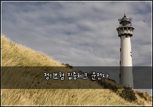 정기보험 집중체크  운전자 