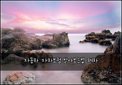 ์๋์ฐจ ์์ฐจ๋ณดํ ๋ฐ์๋ณด๋๋ฒ ํ์ฐจ