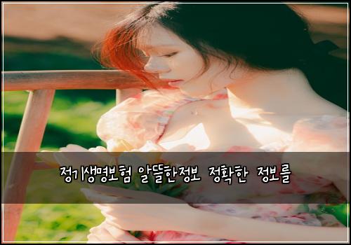 정기생명보험 알뜰한정보  정확한 정보를