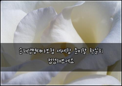 손해생명태아보험 세세함  준비할 확실히 점검해보세요