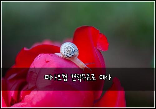 태아보험 견적무료로  태아
