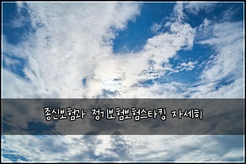 종신보험과 정기보험보험스타킹 자세히
