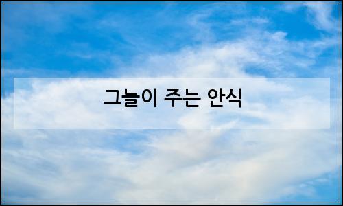 오늘의 이미지